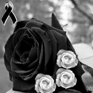 Meet your Posher, Ely